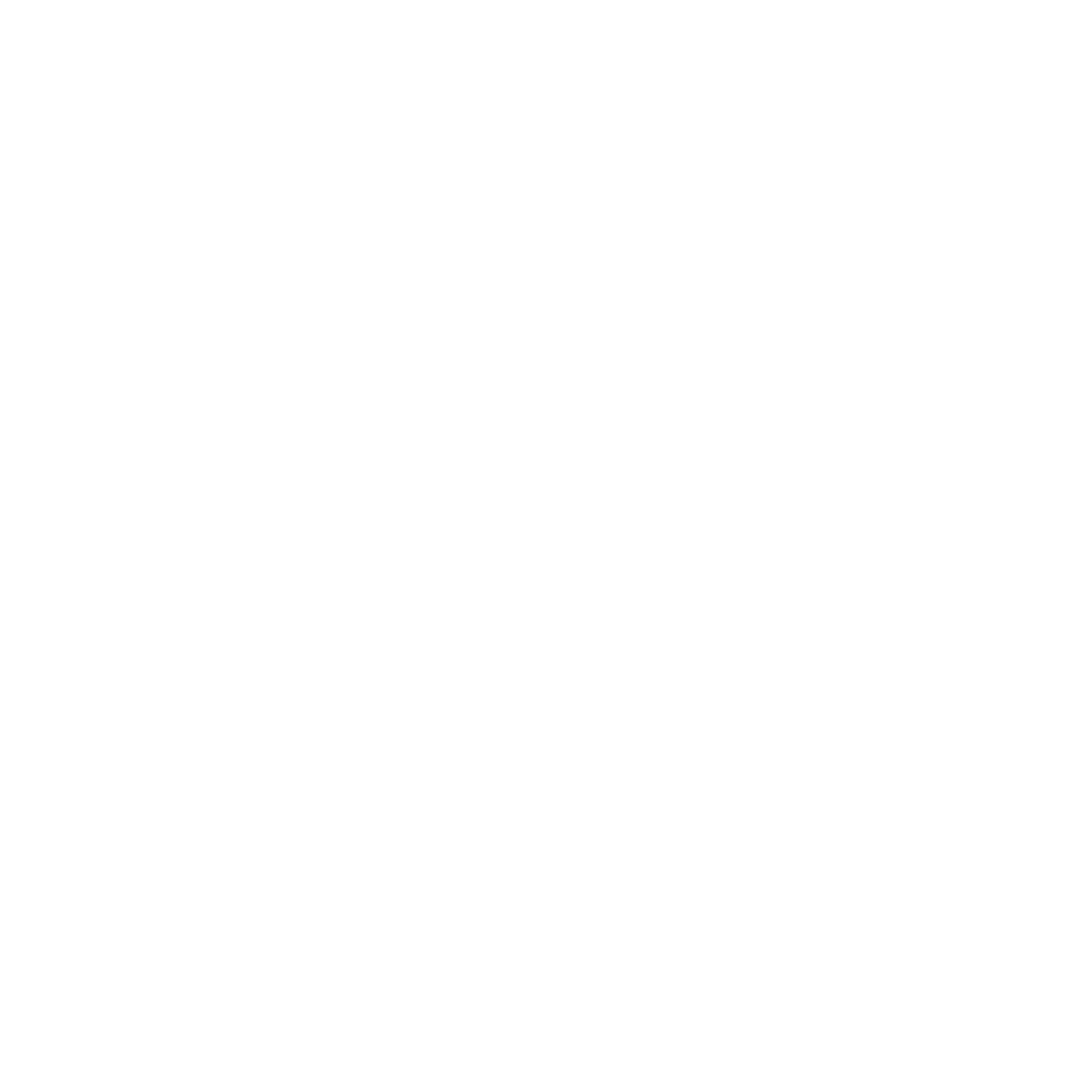 BP Logo White